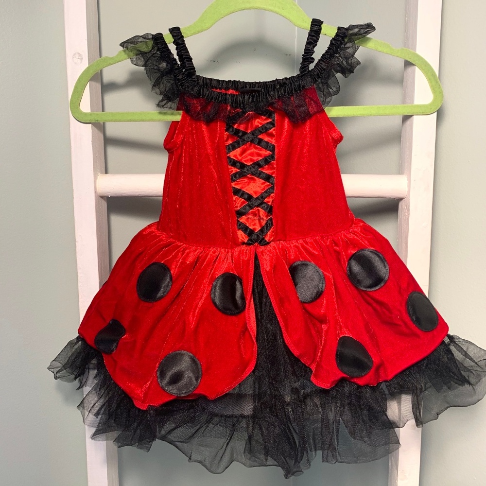 ❌NOT FOR SALE❌Red Polka Dot Ladybug Costume - Picture 5 of 8
